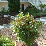 Appartement Au Cheval D'or La Meilleraie-Tillay