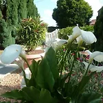Appartement Au Cheval D'or *