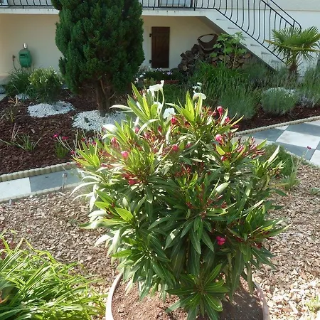 아파트 Au Cheval D'or La Meilleraie-Tillay