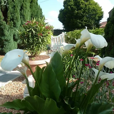 Apartment Au Cheval D'or *