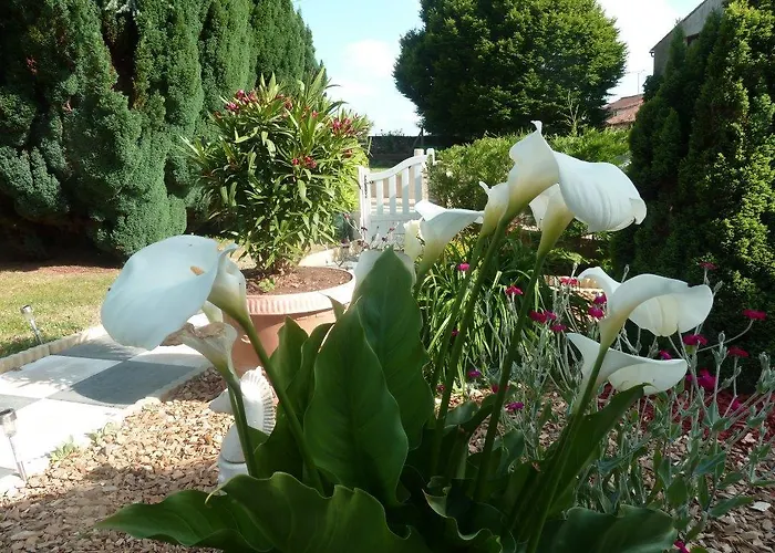 Lejlighed Au Cheval D'or *