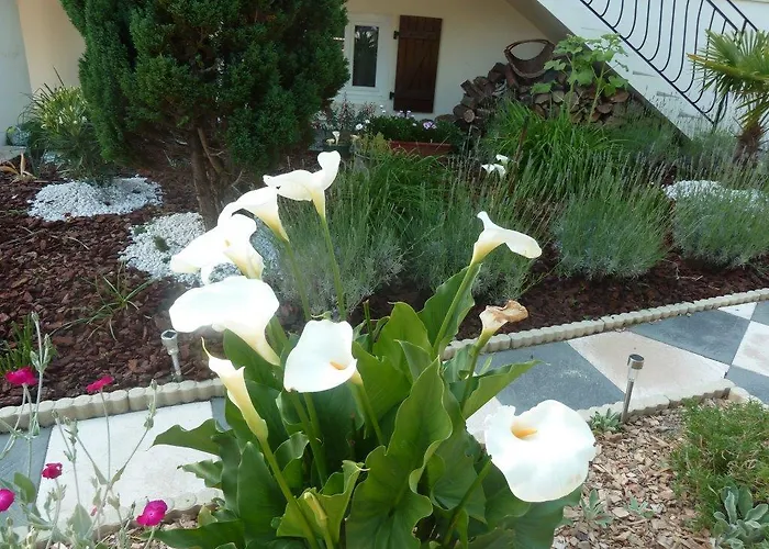 Lejlighed Au Cheval D'or